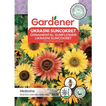 Ukrasni suncokret mešavina - Helianthus annuus