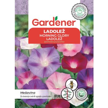 Ladolež mešavina - Ipomoea purpurea