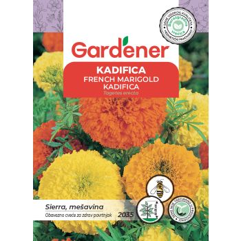 Kadifica - Tagetes erecta