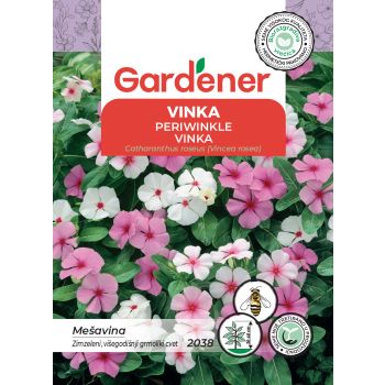 Vinka mešavina - Catharanthus roseus