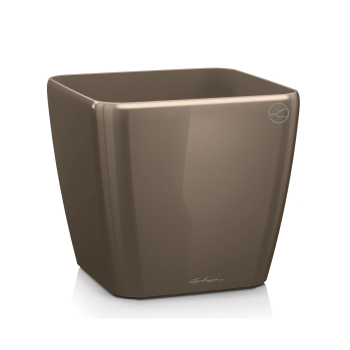 Lechuza Quadro Premium 43 - Moka visoki sjaj