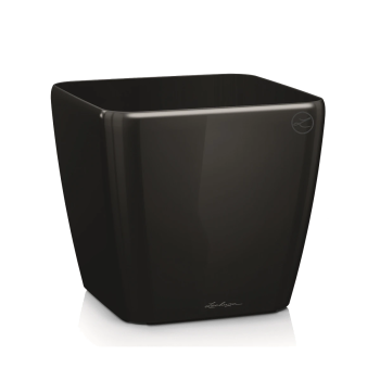 Lechuza Quadro Premium 28 - Crna visoki sjaj
