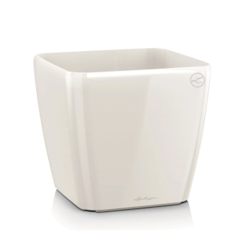 Lechuza Quadro Premium 50 - Bela visoki sjaj