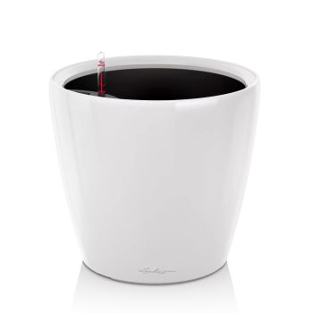 Lechuza Classico Premium 21 Ls All In One - Bela visoki sjaj