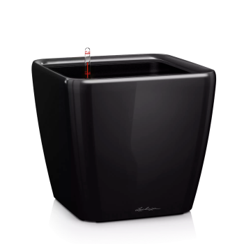 Lechuza Quadro Premium 35 Ls All In One - Crna visoki sjaj