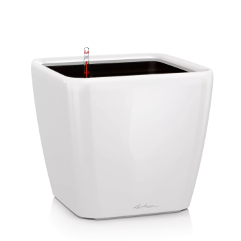 Lechuza Quadro Premium 50 Ls All In One - Bela visoki sjaj