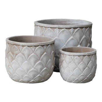 Saksija Terracota 22x18 Cm - Šišarka Srednja Mala