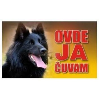 Pvc Tabla Belgijski Ovčar
