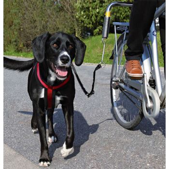 Bicikl Set Za Velike Pse