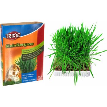 Trava Za Glodare U Činiji 100g