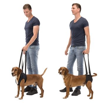 Pojas Za Pomoć Pri Hodanju 55-65cm