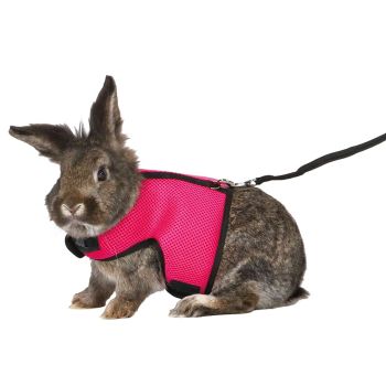 Povodac Za Zeca 60-130cm/25mm