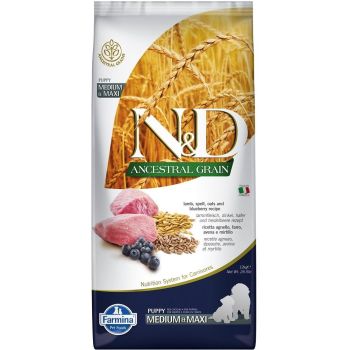 N&D Puppy Medium&Maxi Lamb&Blueberry 12 kg