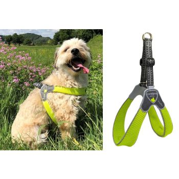 Coralpina - Am Cinquetorri Zeleni Sz1 20-30 cm