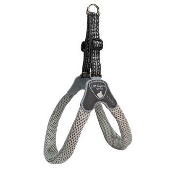 Coralpina - Am Cinquetorri Svetlosivi Sz5 40-50 cm