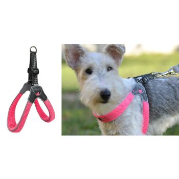 Coralpina - Am Cinquetorri Roze Fluo Sz5 40-50 cm