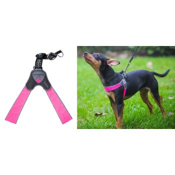 Coralpina - Am Faloria Roze Fluo Sz2 25-35 cm