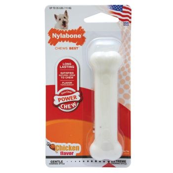 Nylabone - Ec Igracka Ukus Piletina XS
