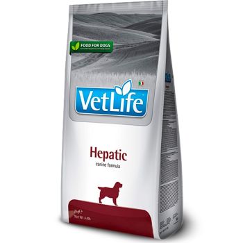 Vet Life Dog Hepatic 2 kg
