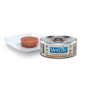 Vet Life Cat Convalescence 85 Gr