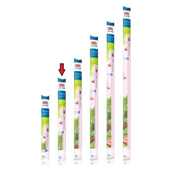 Juwel Neonka Tube Colour - Lite 18 W T8 (Ljubičasta)