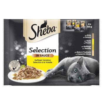 Sheba Kesice, Zivina 4X85 g