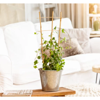 Potpora 60x30cm bambus