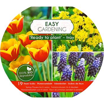 Easy gardening - žuta / crvena / plava - pakovanje 19 lukovica