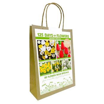 125 dana cvetanja - Mix za baštu - crvena / žuta - pakovanje 50 lukovica