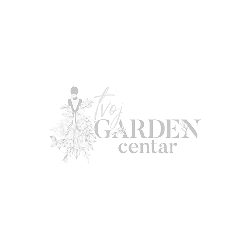 Dalija dekorativna - Labyrinth - pakovanje 1 lukovica