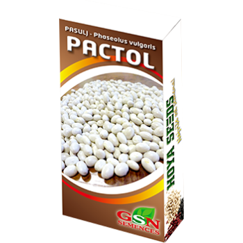 Pasulj Pactol - Phaseolus vulgaris