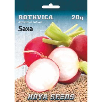 Rotkvica Saxa - raphamus sativus