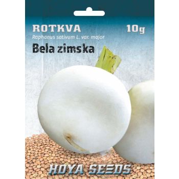 Rotkva bela zimska - Raphanus sativum L. Var. Major