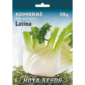 Komorač Latina - Foeniculum vulgare