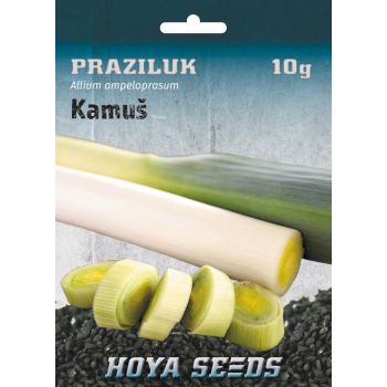 Praziluk Kamuš - Allium ampeloprasum