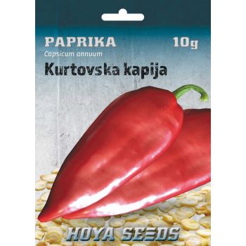 Paprika Kurtovska kapija - Capsicum annuum