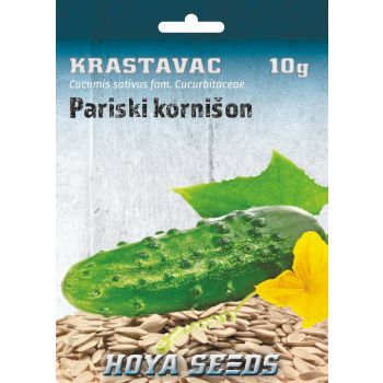 Krastavac pariski kornišon - Cucumis sativus fam. Cucurbitaceae