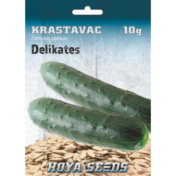 Krastavac delikates - Cucumis sativus