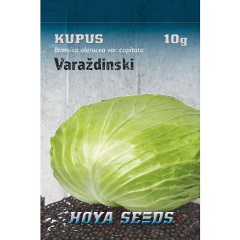 Kupus varaždinski - Brassica oleracea var. Capitata