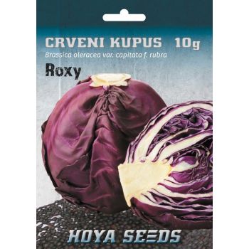 Crveni kupus - Brassica oleracea var. Capitata f. Rubra