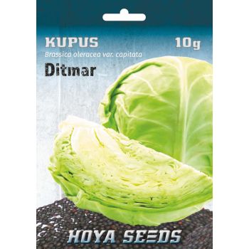 Kupus Ditmar - Brassica oleracea var. Capitata