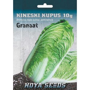 Kineski kupus - Brassica rapa subsp. Pekinensis