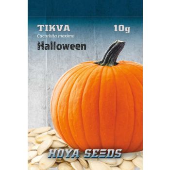 Tikva halloween nd lunga - Cucurbita maxima