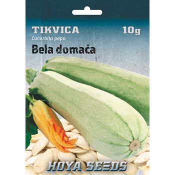 Tikvica bela domaća - Cucurbita pepo