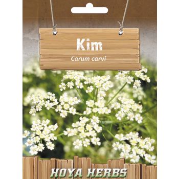 Kim - Carum carvi