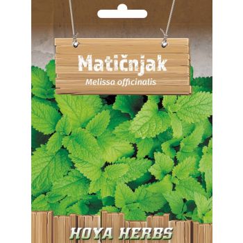 Matičnjak - Melissa officinalis