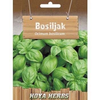 Bosiljak - Ocimum basilicum