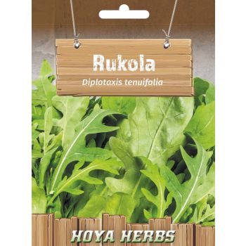 Rukola - Eureca sativa