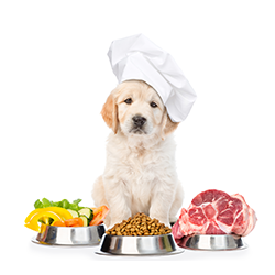 Kategorija VETERINARSKE DIJETE image