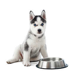 Kategorija OPREMA image